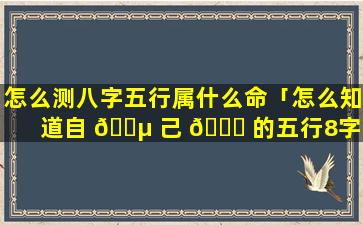 怎么测八字五行属什么命「怎么知道自 🐵 己 🐅 的五行8字测五行属性」